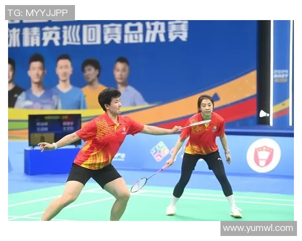 杭州羽毛球队在精英赛中的比赛经验与表现分析 杭州羽毛球队在精英赛中的比赛经验与表现分析