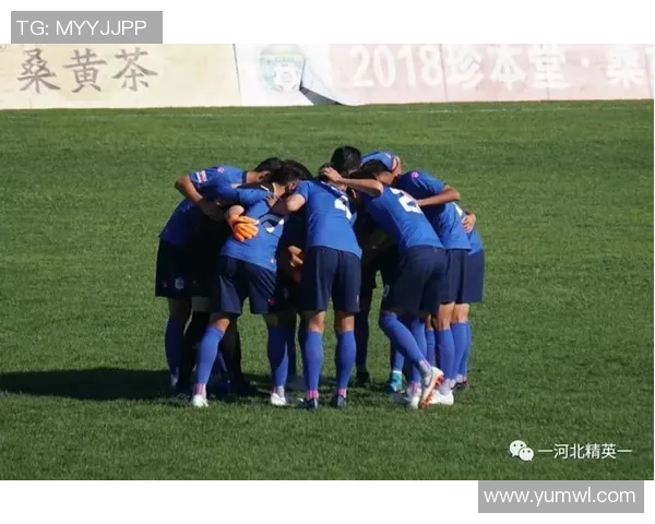 河北精英与大秦之水的巅峰对决谁能笑到最后