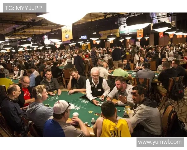 霍尔斯特对决精彩回顾与分析揭示比赛背后的故事与策略