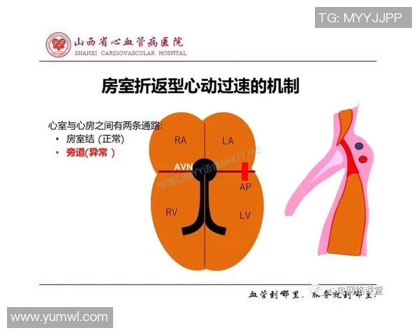 军哥与罗斯精彩对决回放分析与战术解读 军哥与罗斯精彩对决回放分析与战术解读