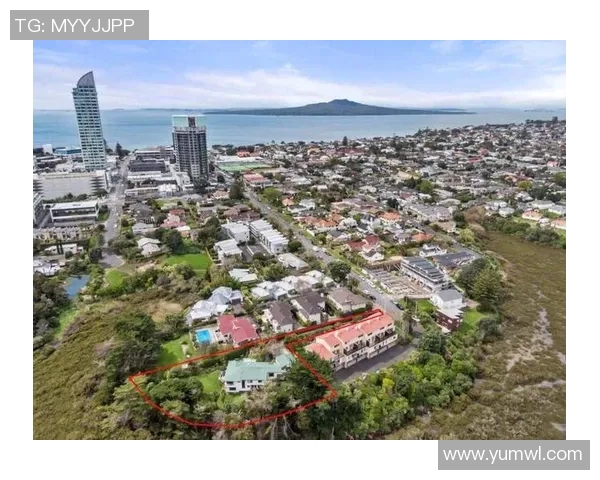 加维的崛起与未来发展潜力解析：从球场到商业的全方位影响