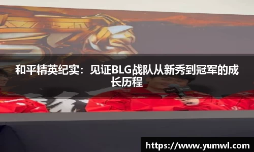 333体育