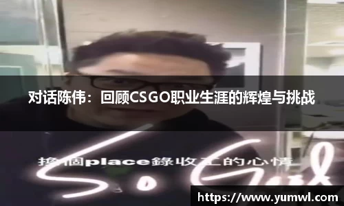 333体育
