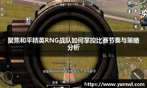 333体育