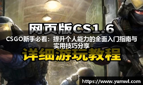 333体育官网