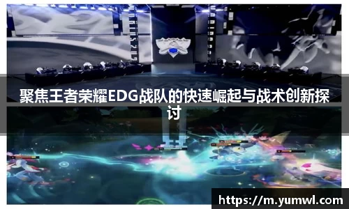 333体育