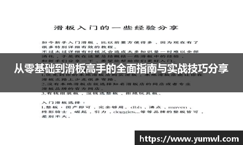333体育