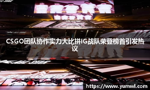 333体育官网