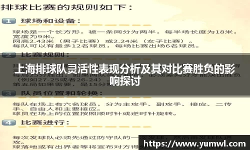 333体育官网