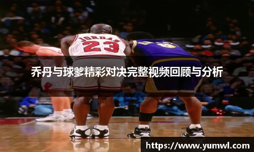 333体育官网