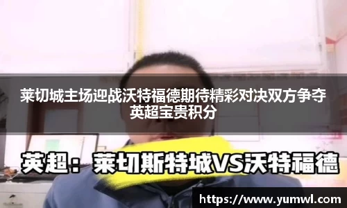 333体育