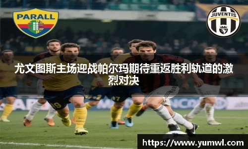 333体育官网