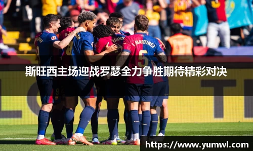 333体育官网