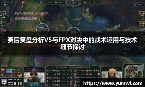 333体育app登录入口